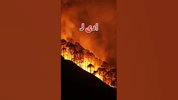 الشرطة في خدمة الشعب 
