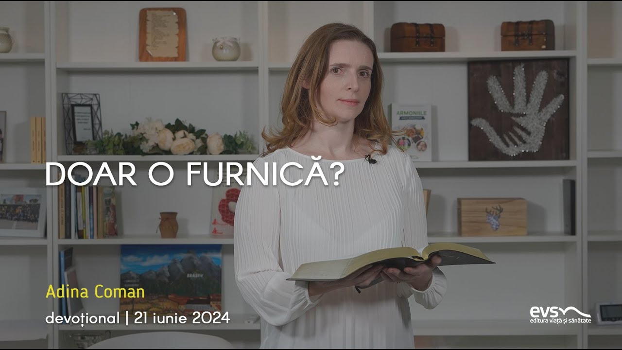 DOAR O FURNICĂ?