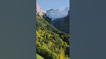 قاتلوهم يعذبهم الله بأيديكم وينصركم عليهم #غزة #راحة_نفسية #خشوع #تلاوة_هادئة #تلاوات