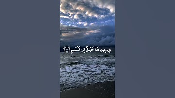 سورة المسد 🤍