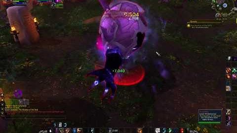 The Shadow of the Void WoW quest