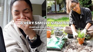 Plant auction, charity shopping, a smelly situation + potting supermarket herbs