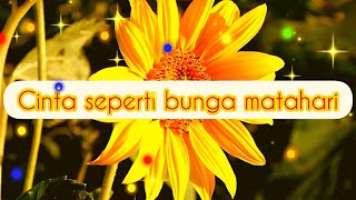 Kata Kata Status Wa - Tentang Bunga Matahari