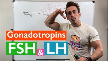 Gonadotropins | Follicle Stimulating Hormone (FSH) and Luteinizing Hormone (LH)
