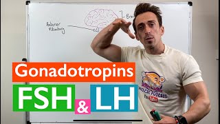 Gonadotropins | Follicle Stimulating Hormone (FSH) and Luteinizing Hormone (LH)