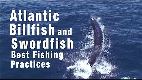 Atlantic Billfish and Swordfish: Best Fishing Practices