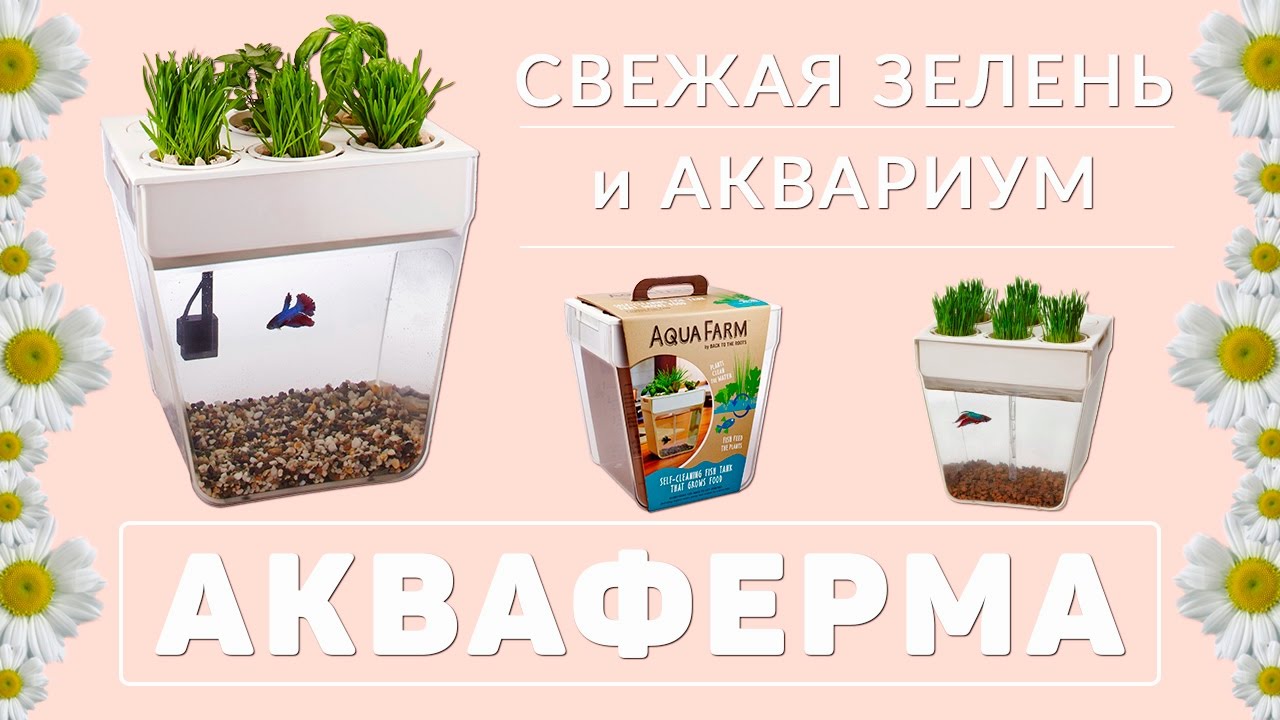 АКВАФЕРМА Мини-ферма у Вас дома! РАЗВИВАЮЩИЕ детские игрушки WayKids ...