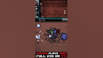 A Montage of Twitch Chat Ruining my Run