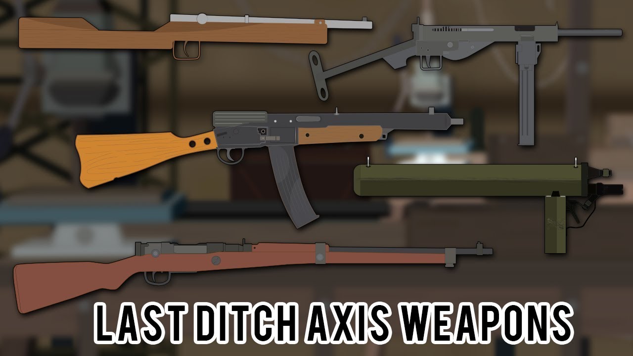 ⁣Last Ditch Axis Weapons