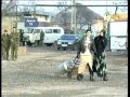 "Урус-Мартан уже освобожден" Военный репортаж. Чечня, Россия, 1999 год.