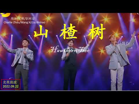 《山楂树》- 周深，王晰，刘彬濠："歌声轻轻荡漾在黄昏水面上，暮色中的工厂在远处闪着光；哦你可爱的山楂树,你为何要发愁;哦亲爱的山楂树,请你告诉我." 歌词优美，歌曲优美，歌星的演唱更有美。赶紧来听吧