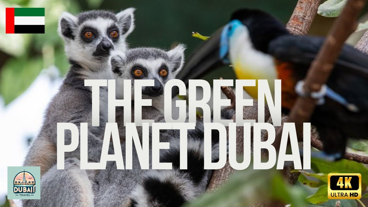 The Green Planet Dubai 🇦🇪 Walking Tour 4K