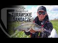 TURAWSKIE SANDACZE | Fox RAGE | Tomasz Kurnik