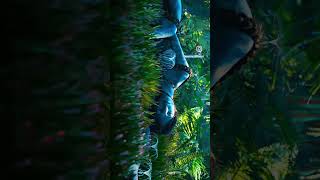Avatar Movie Trailer Ll Full Hd View Ll.gaurav K Videos