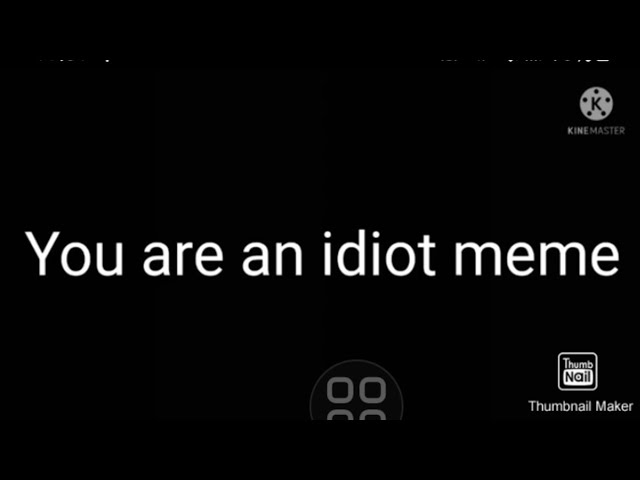 you are an idiot meme 