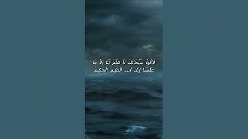 سورة البقرة اية 32 - مع صوت البحر بصوت جميل - قَالُواْ سُبْحَانَكَ لاَ عِلْمَ لَنَا