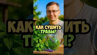Собираешь травы как попало? Проща-ай, аромат и витамины на 70%!
