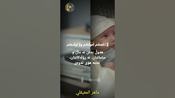 ماهر المعيقلي | سورة المنافقون | ترتیل   | تەفسیری کوردی    . #quran #mahiralmuaiqly #ماهر_المعيقلي