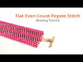 Striped Peyote Bracelet for Beginners Video