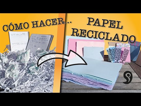 Video: Cocina única hecha de papel reciclado y ecológico