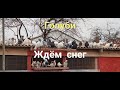 Голуби пока не выпал снег.Doves until it snows