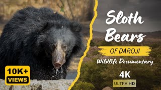 Sloth Bears of Daroji | Wildlife Documentary & Photography | Hampi | 4K video