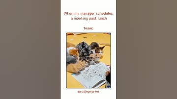 When my manager schedules a meeting post lunch🙄😑#lunch #coders #programmers #clientes #viral #shorts