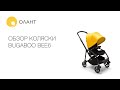 ОБЗОР КОЛЯСКИ BUGABOO BEE6