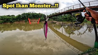 Di Luar Dugaan..!! Masih Ada Ikan Sebesar Ini di Sungai yang Keruh & Jauh Dari Laut..!!