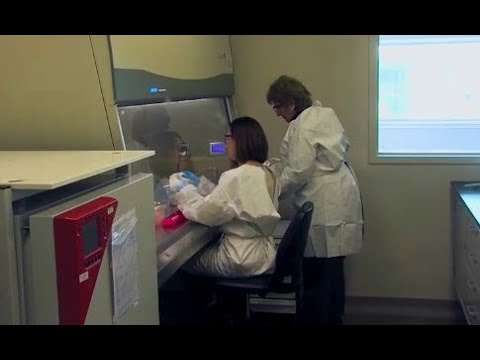 1 673 დაინფიცირებული, 22 დაღუპული, 2 881 განკურნებული -  კოროანვირუსის 24-საათიანი სტატისტიკა