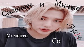 Смешные и милые моменты со Stray kids #1 |funny and cute moments stray kids #1 |relzness