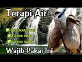 TERAPI TRUCUKAN BIAR CEPAT GACOR || Bird Therapy