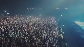 Dimitri Vegas & Like Mike Aftermovie