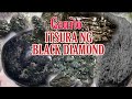 MGA ITSURA NG CARBONADO BLACK DIAMOND...