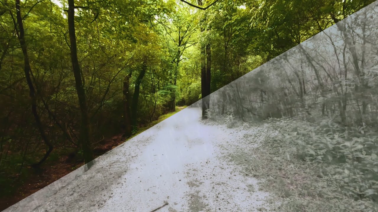 Snow Scene 01 DaVinci Resolve/Fusion YouTube