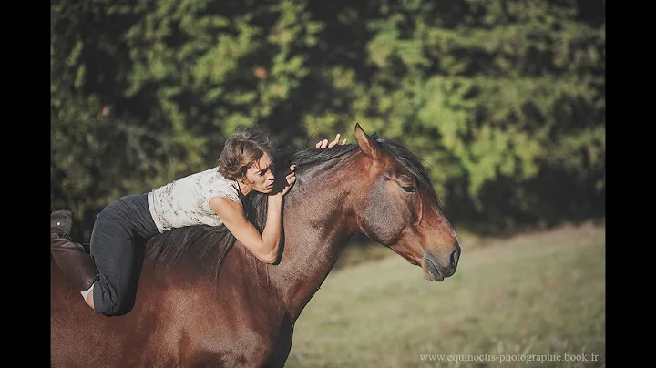 Faire le deuil de son Cheval par Alexandra Bergman
