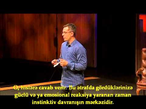 Beyin Mənaları Necə Yaradır (TEDx)