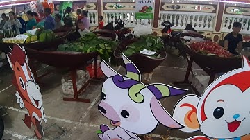 P 4 - ngày hội du lịch vườn trái cây phường Lộc quận Thốt Nốt tp Cần Thơ 07/06/2019 (5/5âl Kỷ Hợi)