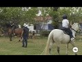 Familia campesina inauguró una escuela que enseña los beneficios de los equinos - La Finca De Hoy