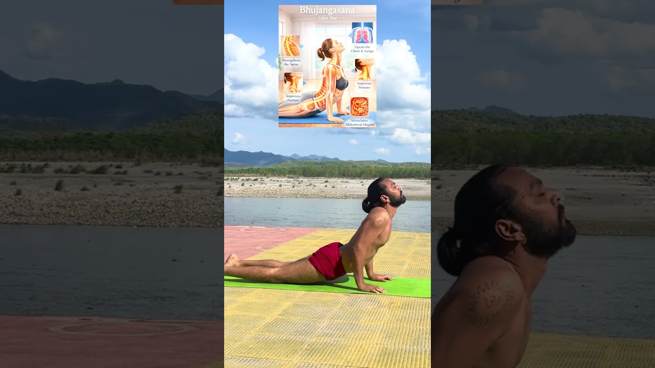 भुजंगासन (Cobra Pose) के लाभ #yogi #yoga #india #uk #bhujangasana