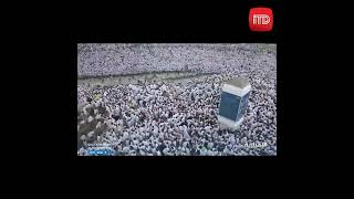 Video Begitu Khusyuknya Ibadah Wukuf di Arafah