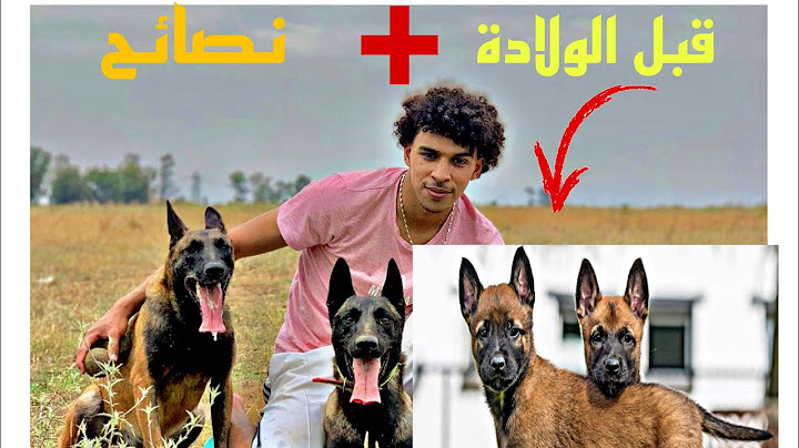 أجيو تشوفو أش وجدت لكلبتي🐕 قبل الولادة + نصائح😍😍