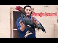 Kamaliya breed ganju breed pulet and roosters by nadeem shah aseel