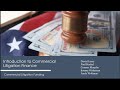 Introduction to Commercial Litigation Finance - 2024
