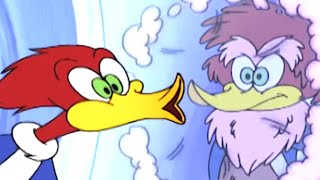 Woody Woodpecker Show | Wild Woodpecker | Full Episode | Videos For Kids
