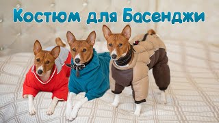 :           | Dog clothes for basenji