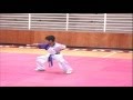 Jaime raimilla changquan 16 wushu chile