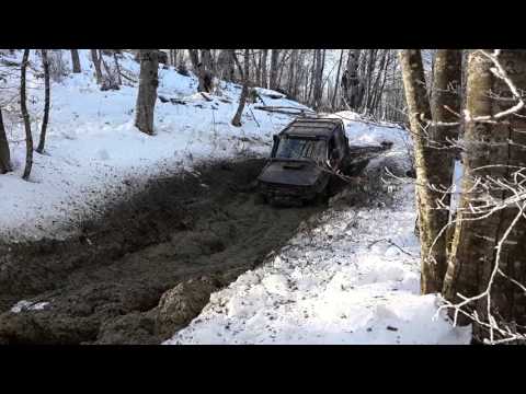 ცხვარიჭამია-ღულელები 10,01,2016  ვაისა