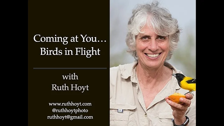 Session 16 - Coming at You...Birds in Flight with ...