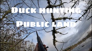 Quick Little Duck Hunt Sunday Morning | Oregon Waterfowl Hunting